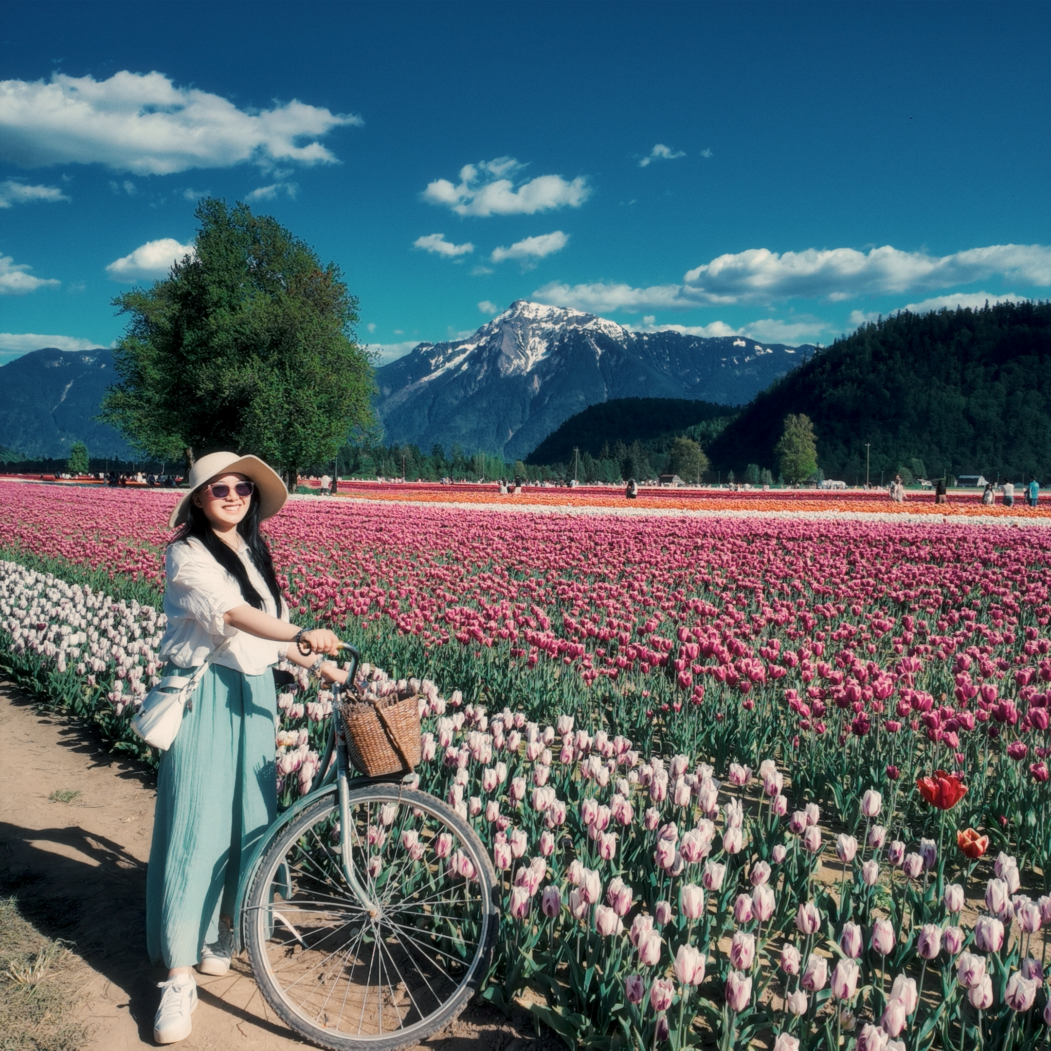 Angela Shen at the tulip festival